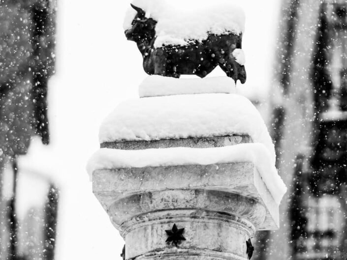 fotografia documental