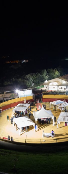 fotografo boda spain